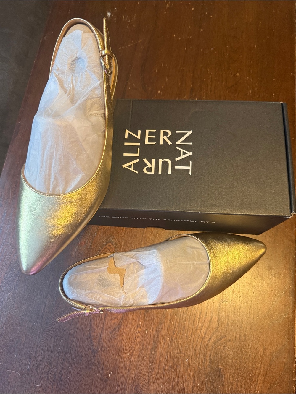 Naturalizer Metallic Gold Pointed Slingback Flats
